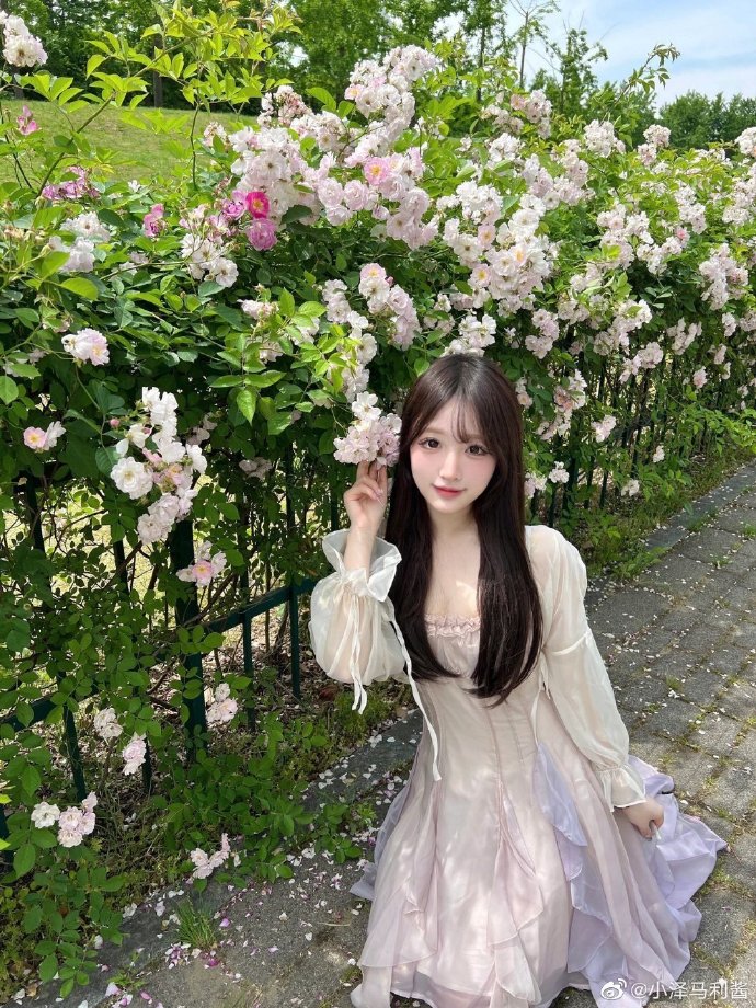 幽灵公主